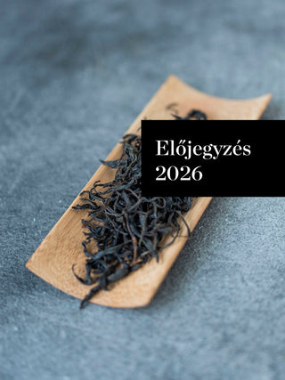 Előjegyzés Yesheng Hong 2026 No.640