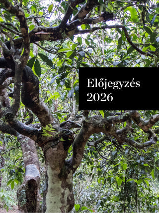 Előjegyzés Da Xue Shan White Bing 2026 No.217