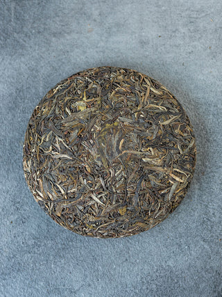 Da Xue Shan – Snow Mountain 2024 No.875
